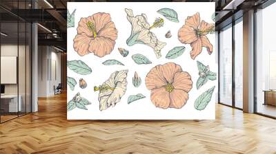 Line art pastel pink vintage hibiscus flowers and leaves set with gray outline isolated on white background. Stock vector illustration. Wall mural