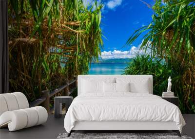 Beautiful view of tropical blue sea or ocean by the white beach and floating a cloud in summer, Okinawa in Japan, Nobody, Landscape or travel, High resolution over 50MP for wallpaper Wall mural