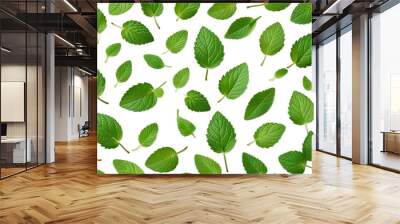 leaves mint falling backgroun green leaf spearmint menthol peppermint spice fresh freshness white garnish seasoning smell closeup isolated nobody natural vein herbal aroma organic favor fragrance Wall mural