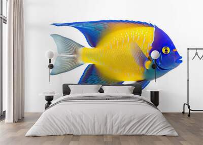 Marine Angelfish isolated fish Queen (Holacanthus white ciliaris) background Wall mural