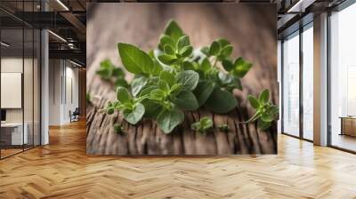 'fresh dried oregano herb wooden background spice plant food nature ingredient green leaf cooking seasoning healthy white natural organic closeup isolated macro herbal twig freshness favor health' Wall mural