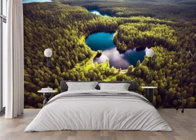 'top aerial country summer view green rural road blue forest lake finland landscape drone nature high tree pine background travel' Wall mural