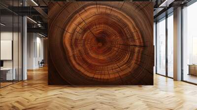 grain end close rings tree texture organic rough stump trunk felled tones orange brown dark warm detailed surface cut oak wooden old wood cross section ancient annual Wall mural