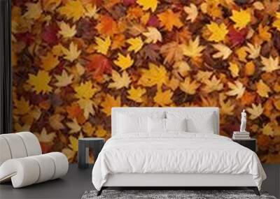 colorful autumn park autumn foliage backgrounds leaves  leaf background autumn fall good sale yellow natural nature park season sunlight vibrant green red brown bright light forest colours colourful Wall mural