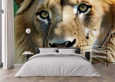 front ad lion  lion painting isolated acrylic mammal white expressive brown shot head carnivore male full canvas felino africa digital closeup portrait macro hunter palette illustration brush up Wall mural