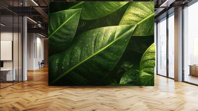 Closeup tropical green leaves texture and dark tone process, abstract nature pattern background. Wall mural