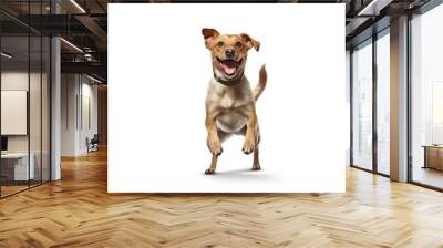 happy dog isolated on white background. Generative AI technology. Wall mural