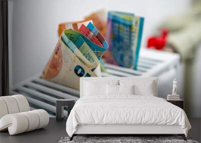 euro banknotes in a central heating radiator, the concept of expensive heating costs, closeup Wall mural