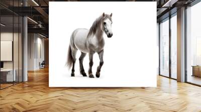 white arabian stallion standing isolated over a white background Wall mural