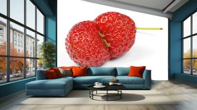 Ugly organic heirloom home grown strawberries isolated on White Background. Wall mural