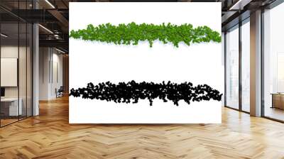 Green ivy plant isolated.3D illustration. Wall mural