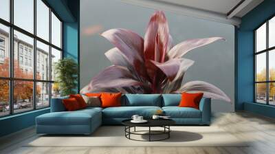 Striking red Cordyline plant known for its colorful leaves, commonly used as an ornamental plant for its beautiful foliage Wall mural