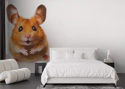 Adorable close-up of a cute orange hamster standing on its hind legs, looking up with wide eyes, isolated on a white background, horizontal photograph with a focus on the hamster's expressive face and Wall mural