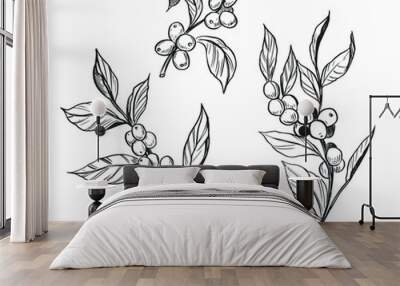 Coffee plant. Branch with coffee beans. Hand drawn sketch illustration. Vector Wall mural