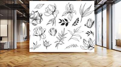 Floral set. Sketches of flowers, plants, leaves. Hand drawn illustration converted to vector. Outline with transparent background Wall mural