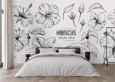 Hibiscus flower. Set of hand drawn illustration. Vector outline. Isolated Wall mural