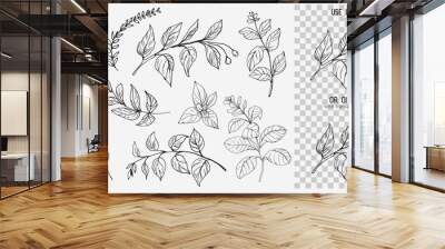 Leaves set. Hand drawn decorative elements. Vector illustration Wall mural