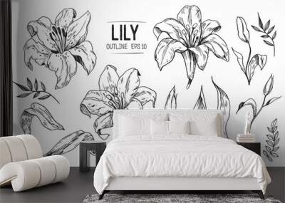 Lilies sketch. Set of lilies flowers. Hand drawn illustration converted to vector. Wall mural