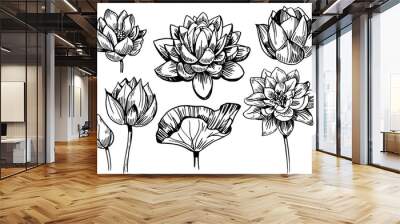 Lotus sketch Wall mural