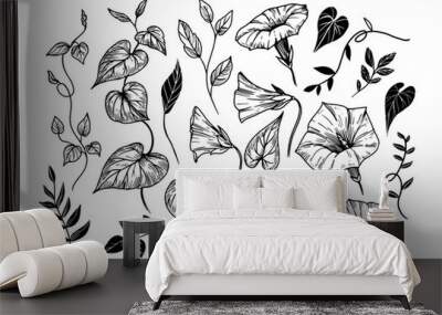 Morning glory flower set, realistic botanical engraving style. hand drawn, vector illustration, black outline, Wall mural