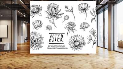 Set of aster flowers. Hand drawn outline converted to vector Wall mural