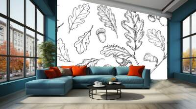 Set of oak leaves and acorns. Hand drawn illustration converted to vector Wall mural