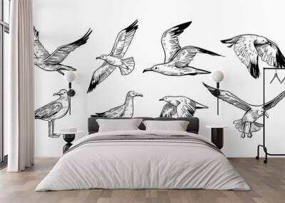 Set of seagulls outlines. Hand drawn illustration converted to vector. Black on transparent background Wall mural