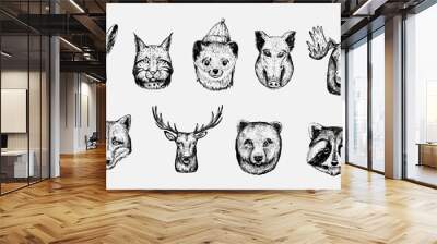 Sketch of forest animals: hare, lynx, marten, boar, moose, wolf, deer, fox, bear, racoon Wall mural