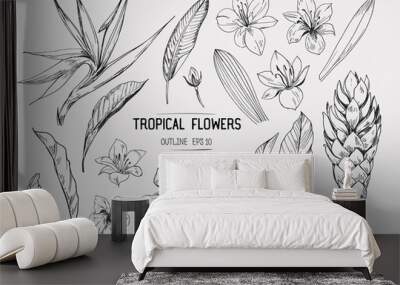 Tropical flowers. Set of hand drawn illustrations. Vector. Isolated Wall mural