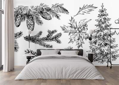 winter plants: holly, cones, spruce. hand drawn illustration converted to vector Wall mural