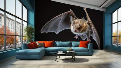 A bat is flying against a black background. The grey long eared bat (Plecotus austriacus) is a big bat that lives in Europe. It has long ears with a fold that make it stand out. It hunts in trees Wall mural