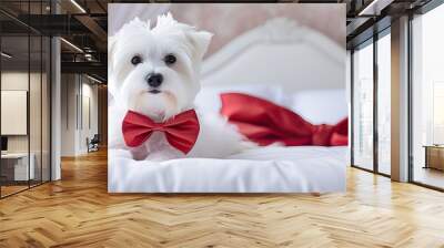 A dog with a red bow is sitting on a bed and posing for a picture Wall mural