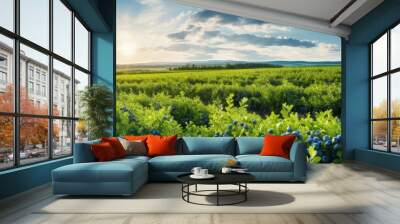 A large organic farm features rows of cultivated, lush blueberry bushes producing sweet fruit under a sunny sky, with green grass between the drills. Wall mural