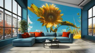 A large sunflower blossoming in the clear blue sky Wall mural