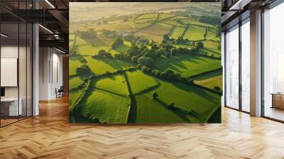 Aerial view of Somerset, England's rural landscape. Wall mural