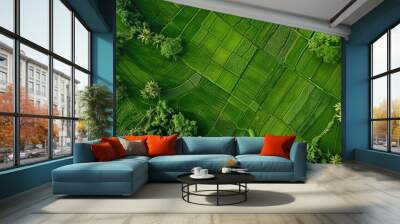 Bird s eye perspective of verdant rice paddies Wall mural