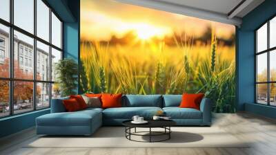 Bright sunlight on a green wheat field Sparkling grass under the sun s rays Wide angle view Wall mural