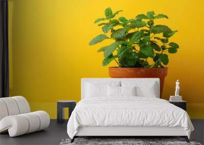 Catnip placed on a terracotta pot against a plain yellow backdrop Wall mural