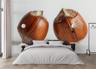 Close up of two hazelnuts in their shells displayed against a white backdrop Wall mural