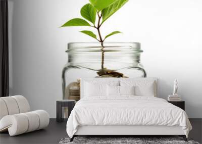 Coins in a glass jar grow a plant, depicting investment concept, isolated on transparent backround. Wall mural