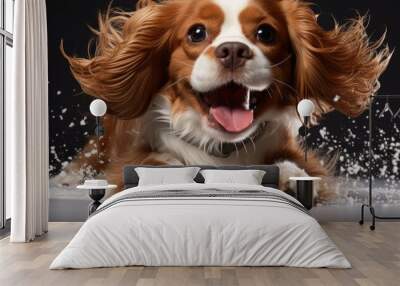 Energetic Cavalier King Charles Spaniel dog playing happily in a white studio Symbolizing pets care joy and affection Wall mural