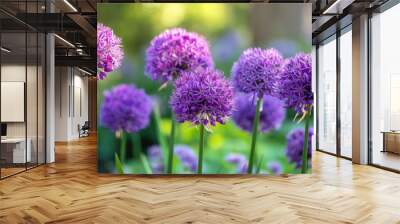 Flowers of Allium blooming in the garden Wall mural