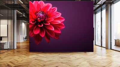 fresh red and purple flower Wall mural