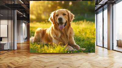 Golden Retriever eagerly waiting to play on the lush green grass Wall mural