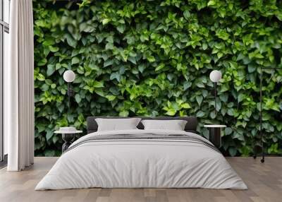 Green garden wall texture Wall mural