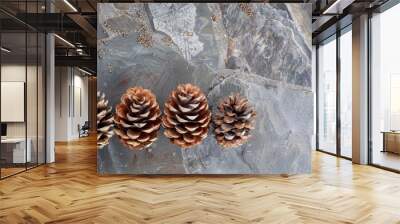 Group of three full pine cones on a grey stone surface Wall mural