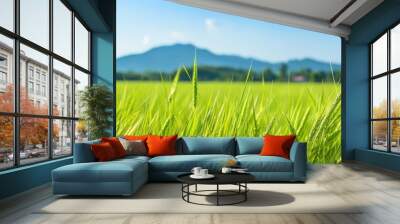 In the lush green fields of a tropical farm in Country, the golden rice sways in the autumn breeze, ready for harvest, promising a bountiful season of natural, organic food. The health and growth of Wall mural