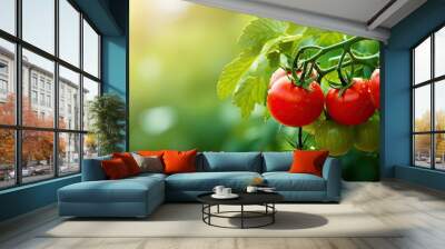 In the lush green garden, against a vibrant summer background, a healthy tomato plant thrived, showcasing the successful growth of a nutritious vegetable, reflecting the wholesome benefits of nature Wall mural