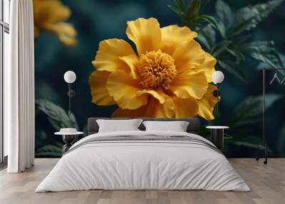 Marigold A Bright Yellow Single Blossom Wall mural