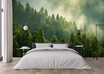 Mesmerizing Pine and Sequoia Forest in a Majestic Environment with a Captivating Background Wall mural